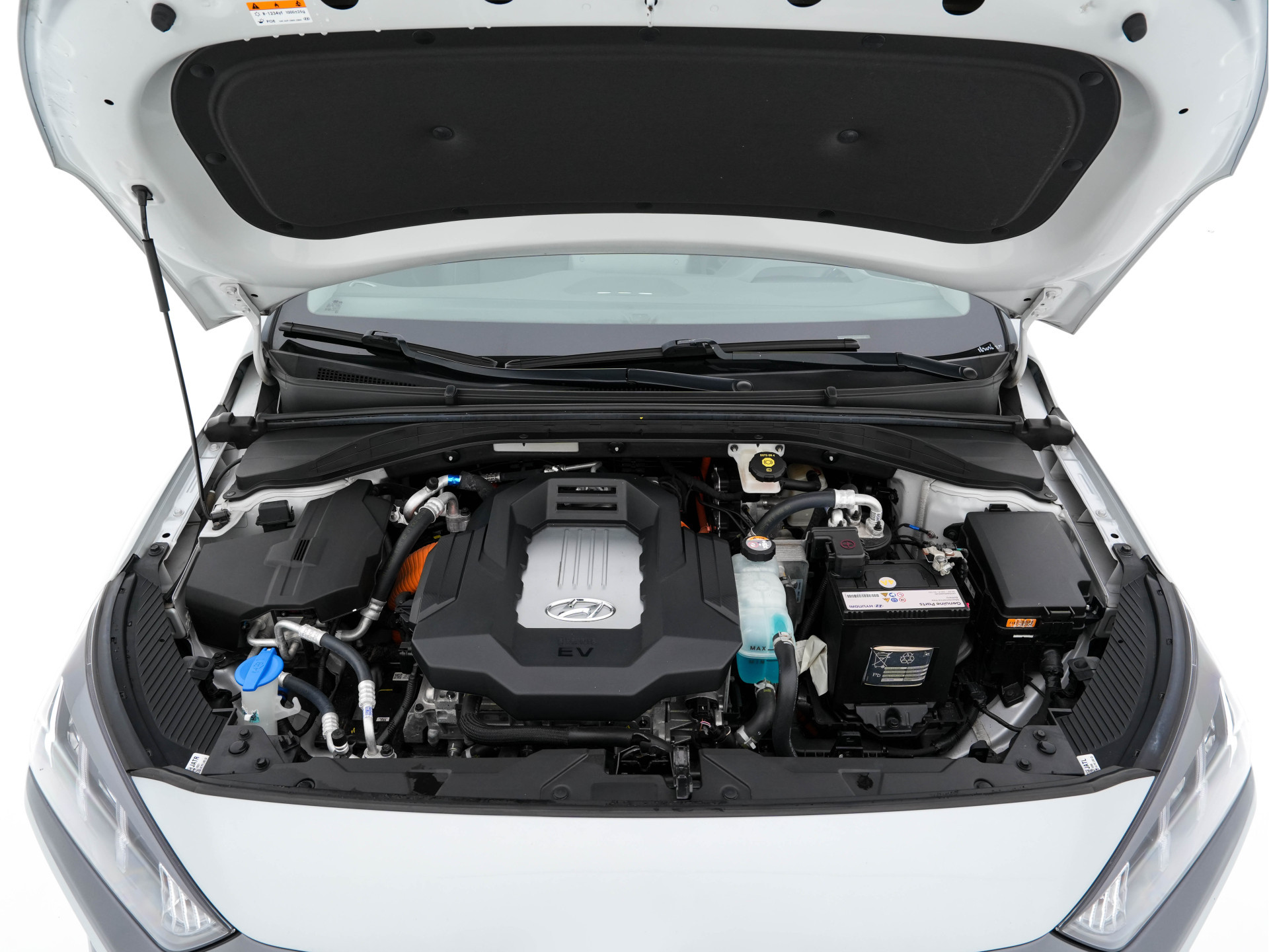 Hyundai IONIQ Premium EV 38 kWh {SOH-100%} Aut *HEATPUMP | LEATHER | FULL-LED | ADAPTIVE-CRUISE | KEYLESS | NAVI-FULLMAP | DAB | CAMERA | MEMORY-PACK | DIGI-COCKPIT | HEATED/VENTILATED-SEATS | CCS- FASTLOADER | PRIVACY-GLASS |