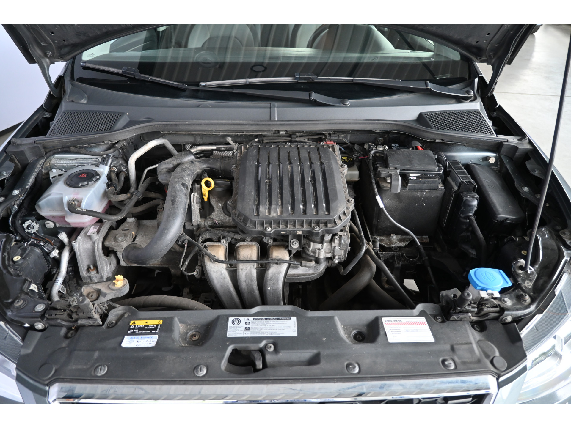 SEAT Ibiza 1.0 MPI Reference Clima Cruise Control Carplay Rijklaarprijs Inruil Mogelijk!