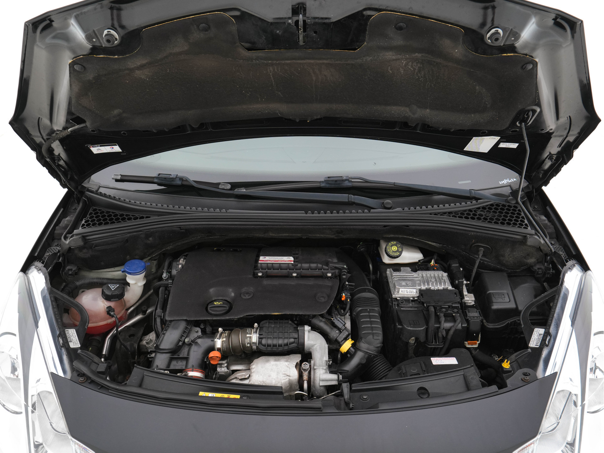 DS 3 1.6 BlueHDi Business *ALCANTARA-MICROFIBRE | SPORT-SEATS | ECC | PDC | CRUISE | PRIVACY-GLASS | 16''ALU*