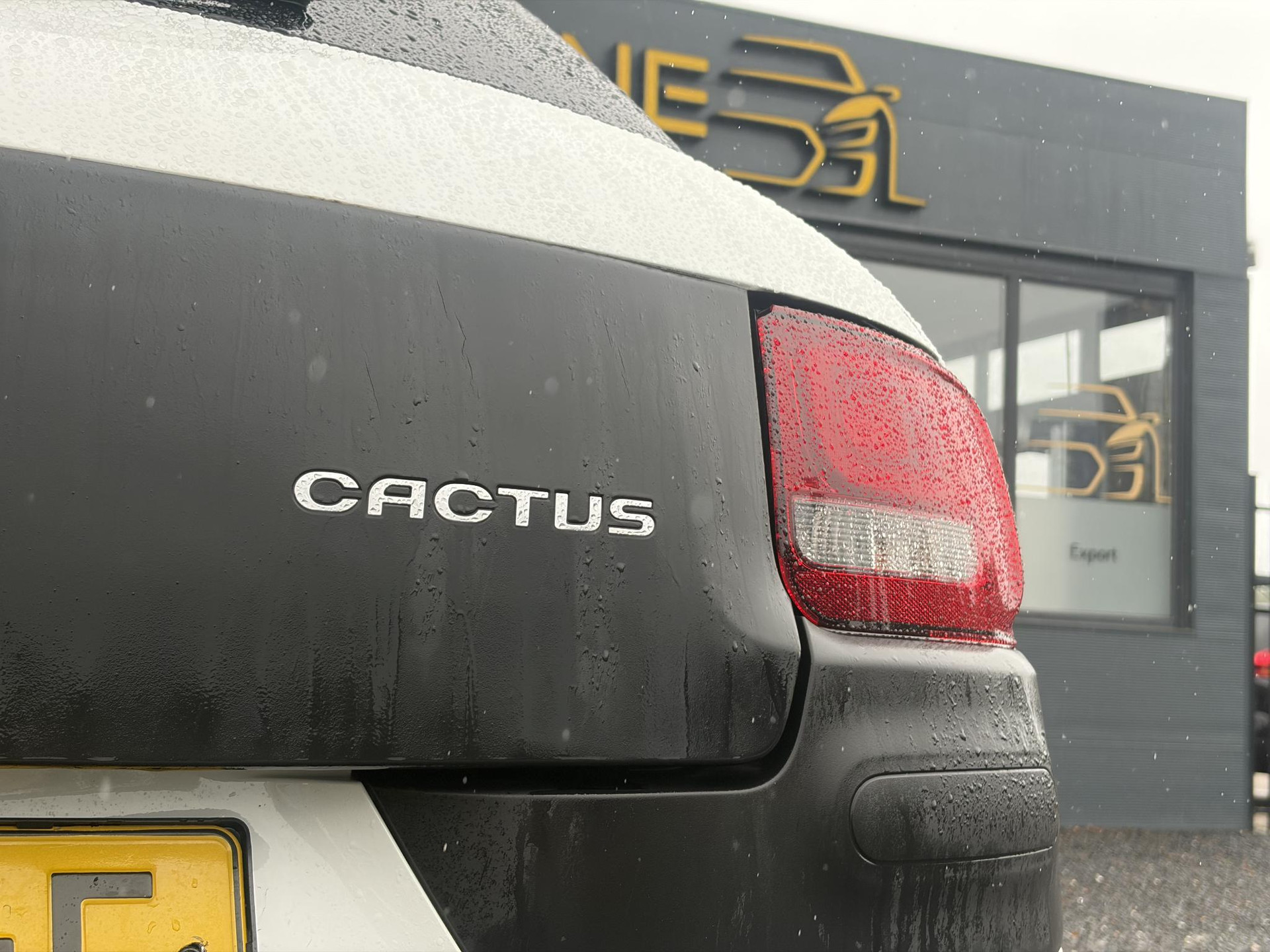 Citroen C4 Cactus 1.2 PureTech Feel ✓D-riem vv in 12-2024✓12e Eigenaar✓Dealer Onderhouden✓Carplay✓ClimaCruise✓Lmv✓Recent beurt gehad✓N.A.P✓Apk tot 08-2027