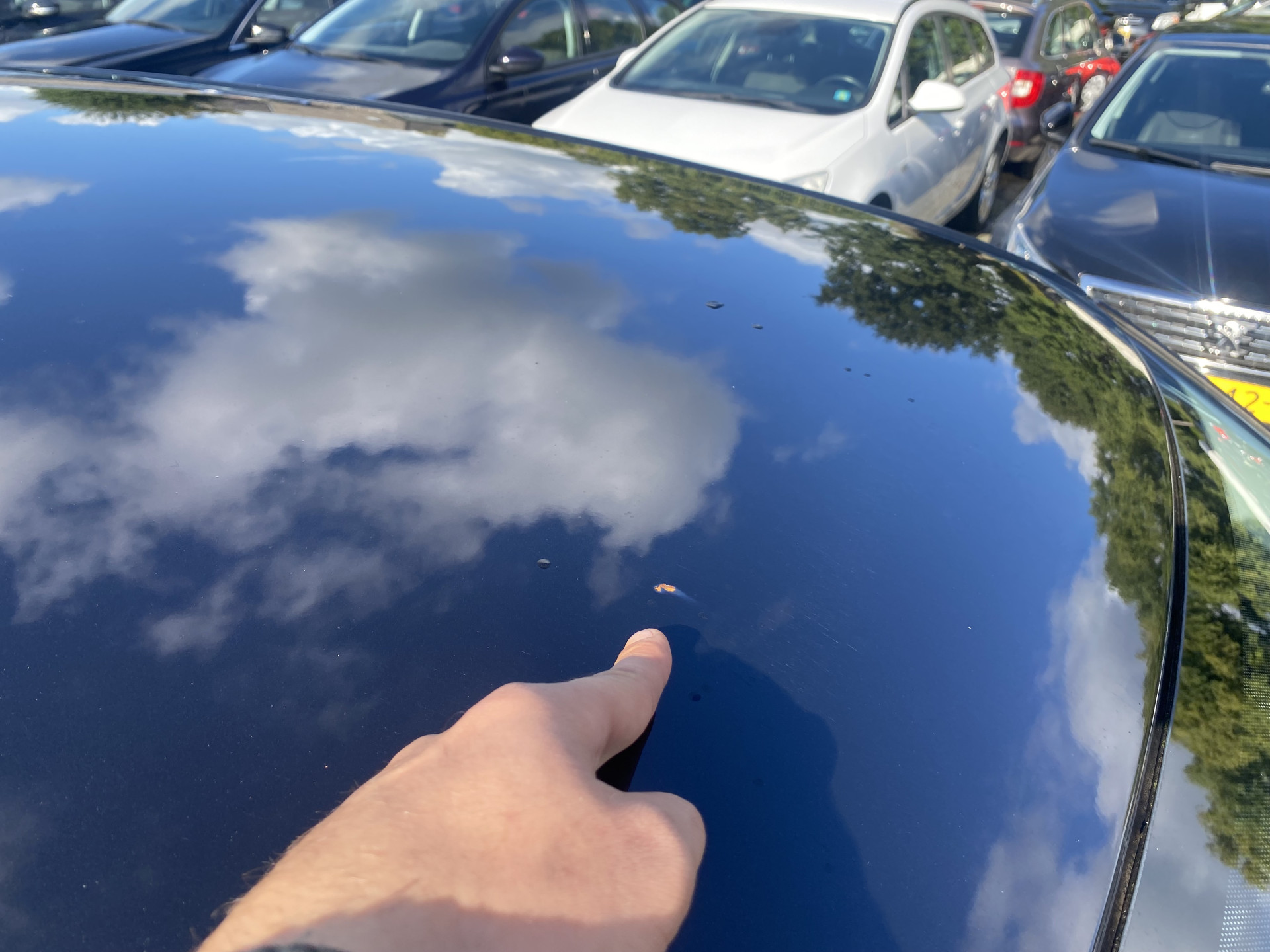 ŠKODA Fabia 1.2 TDI Greenline Businessline *NAVI-FULLMAP | ECC | PDC | CRUISE | 15''ALU*