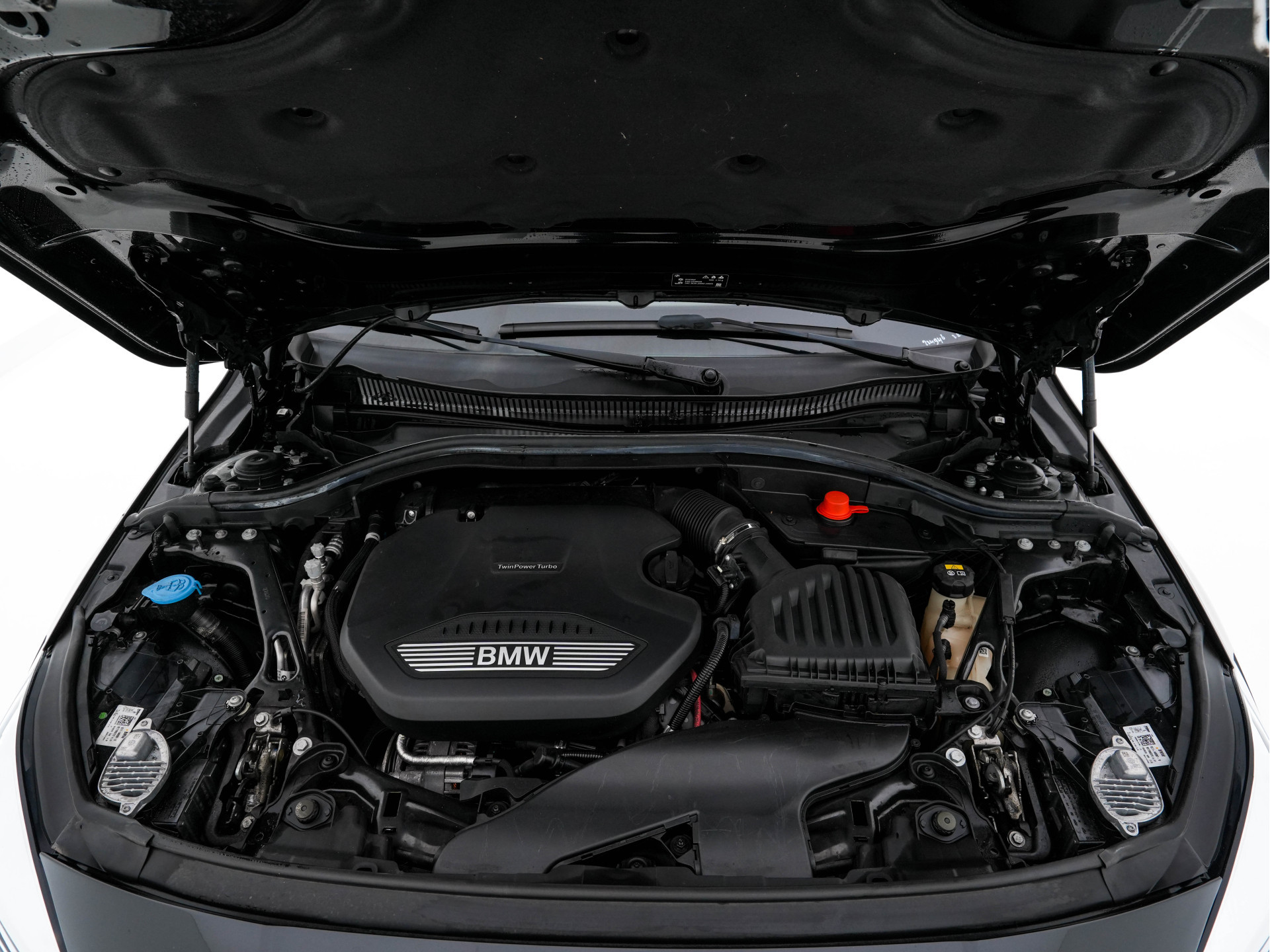 BMW 1-serie 116d Executive Edition Sport-Line (INCL-BTW) *DIGI-COCKPIT | FULL-LED | NAVI-FULLMAP | LEATHER-MICROFIBRE | AMBIENT-LIGHT | CARPLAY | CRUISE | KEYLESS | HEATED-SPORTSEATS | PRIVACY-GLASS | DAB | ECC | PDC | 17"ALU*