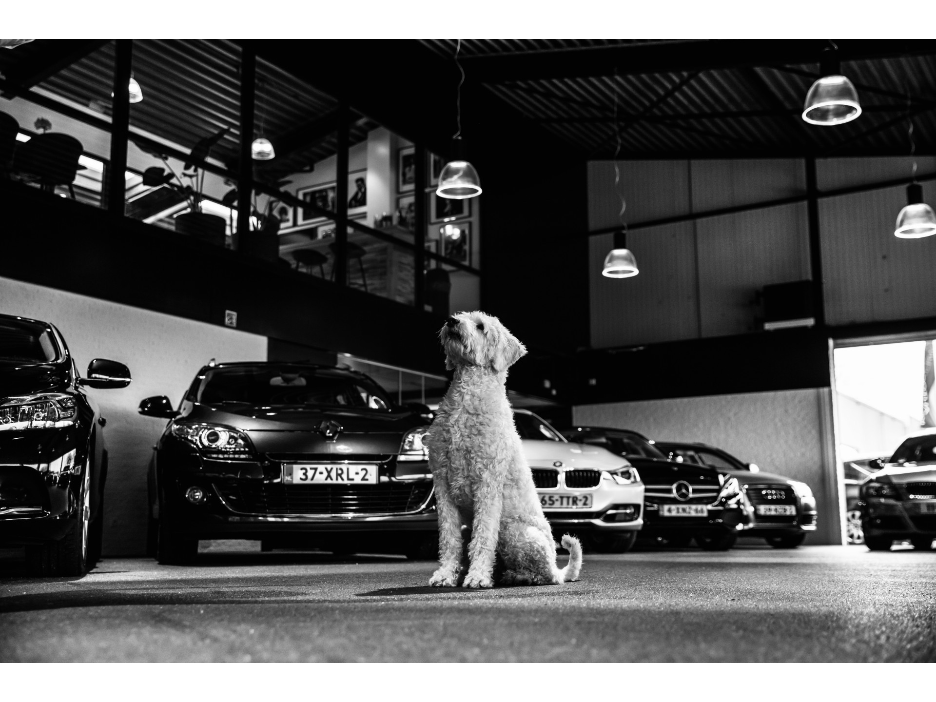 Volkswagen up! 1.0 Sport up! (AIRCO, 5 DEURS, CRUISE, PARKEERSENSOREN, GETINT GLAS, SPORTSTOELEN, LM VELGEN, NIEUWSTAAT)