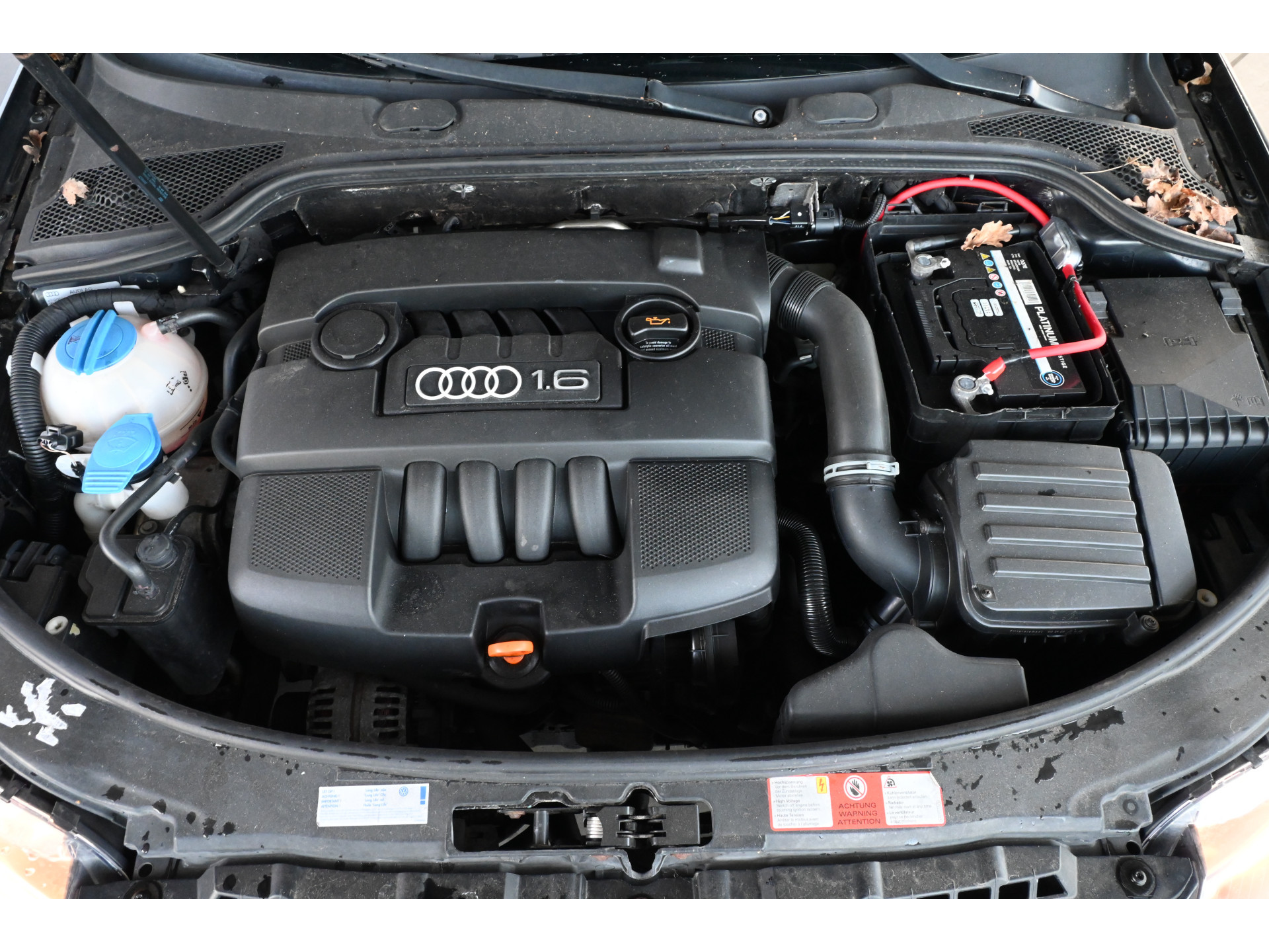 Audi A3 1.6 Attraction Clima Cruise Control Lichtmetaal All in Prijs! Inruil Mogelijk!