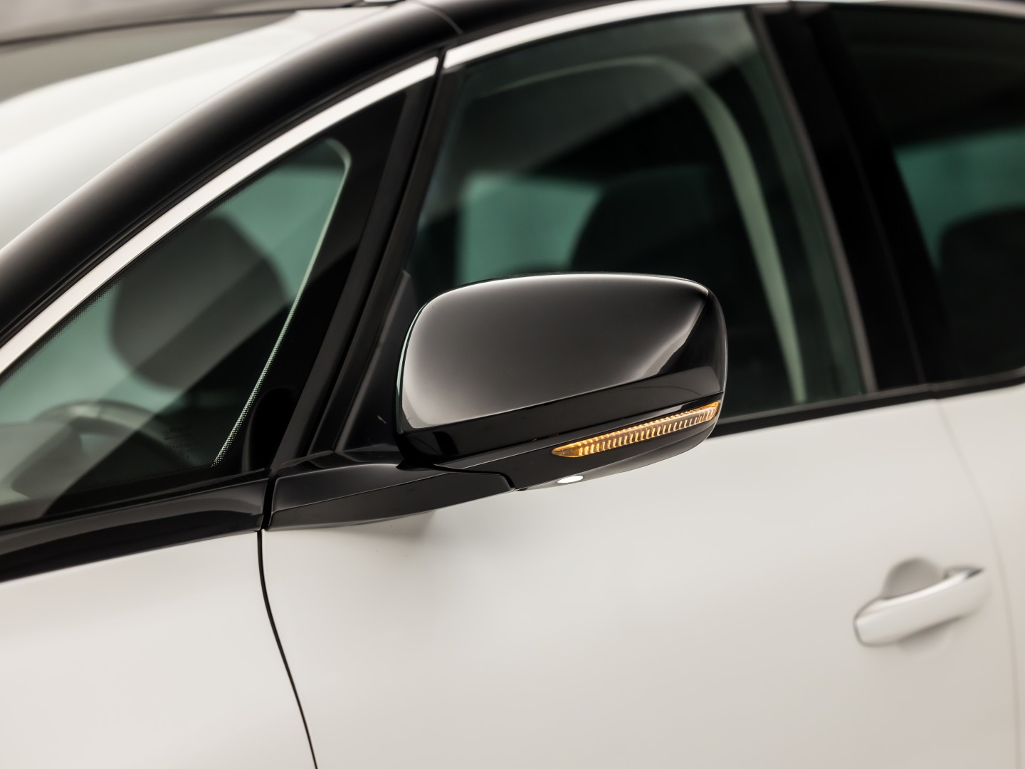 Renault Grand Scénic 1.3 TCe Bose 7 Persoons (PANORAMADAK, APPLE CARPLAY, GROOT NAVI, LEDER, SPORTSTOELEN, GETINT GLAS, BOSE AUDIO, CAMERA, NIEUWE APK, NIEUWSTAAT)