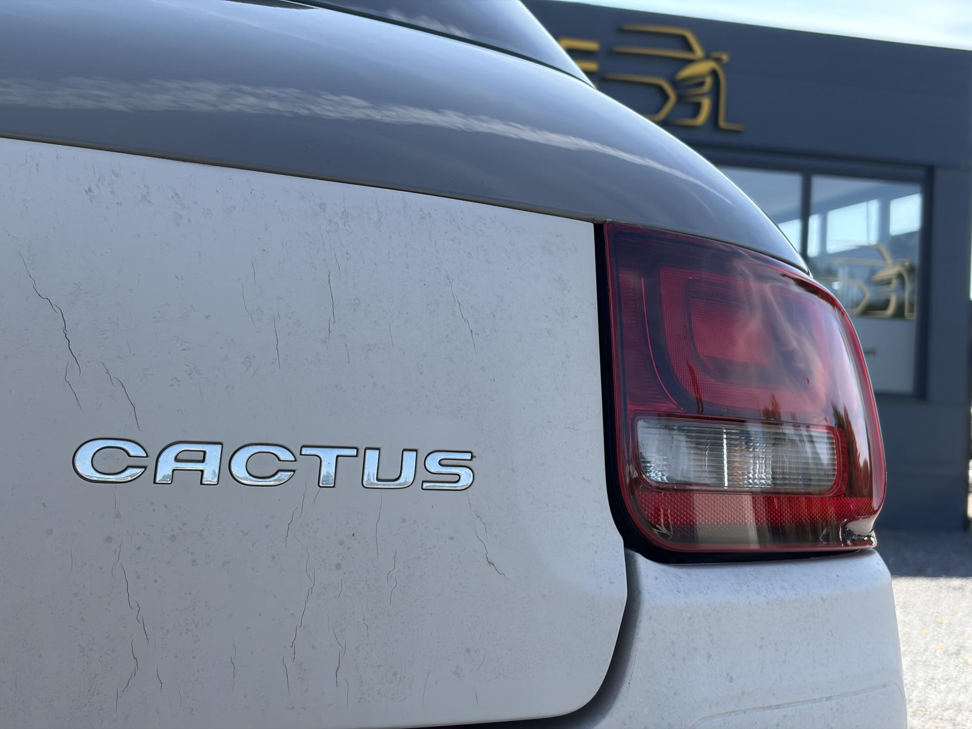 Citroen C4 Cactus 1.2 PureTech Business ✓D-riem vv in 2026✓Pano✓Camera✓Carplay✓110pk✓Stoelverw✓Navi✓Clima✓Cruise✓Pdc✓Halfleder✓N.A.P✓Apk tot 02-2027