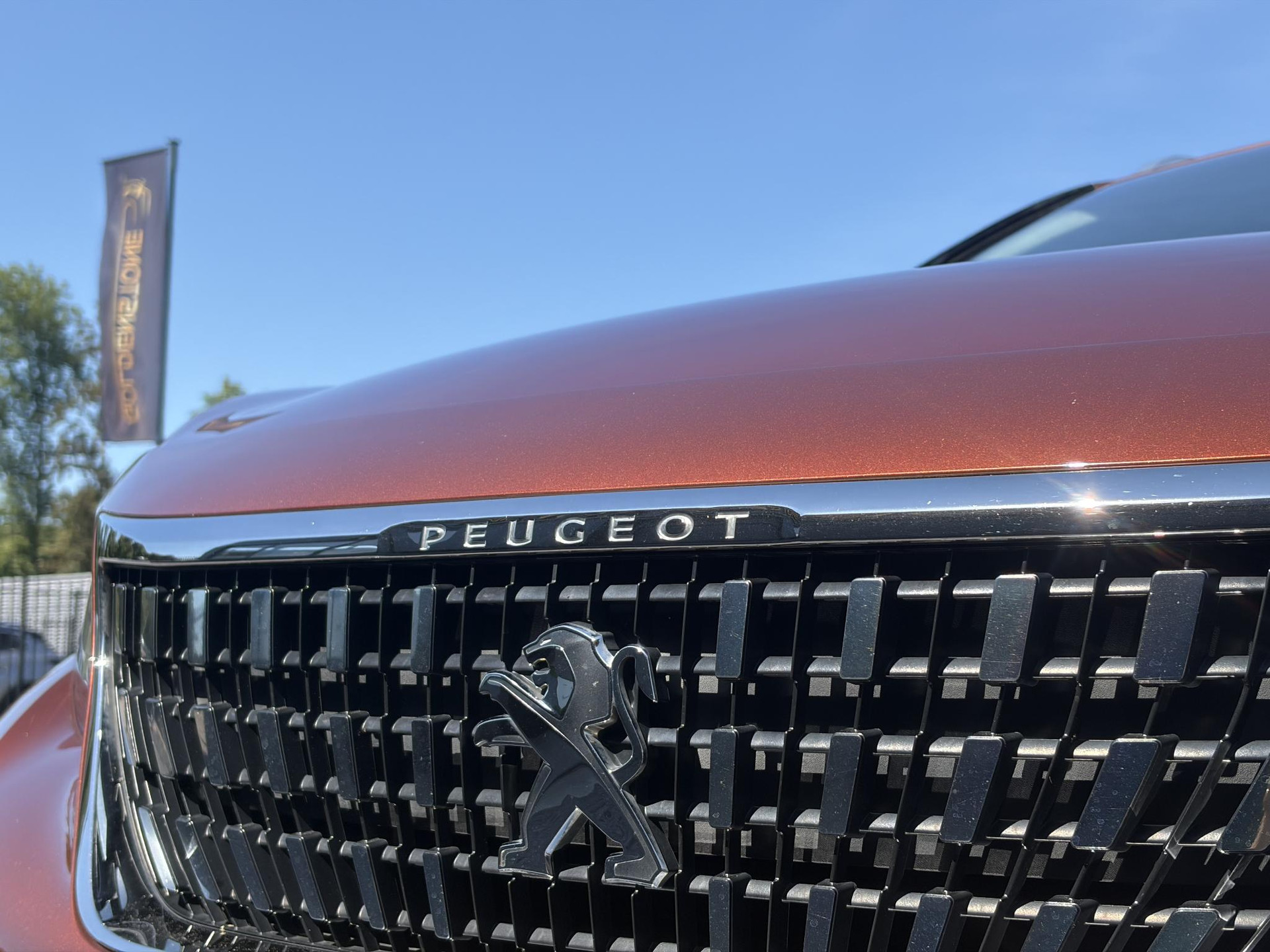 Peugeot 3008 1.2 PureTech Allure Distributieriem vv in 2025 l Pano l 360° Camera l Carplay l Dealer Onderhouden l Navi l Halfleder l Pdc l Keyless l 131pk l 6 Bak l Apk tot 12-2026